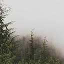 Ζωντανή Ιστορία Ιπποτών Ρόδου