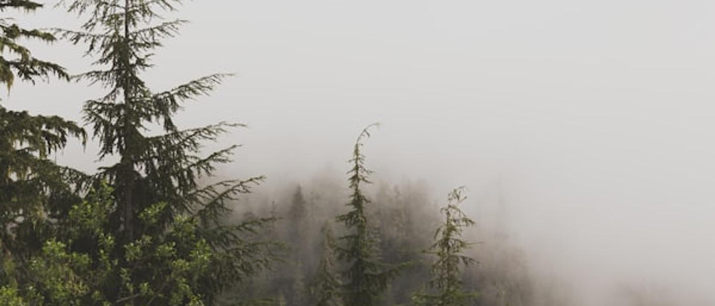 Rhodes Medieval History Tour