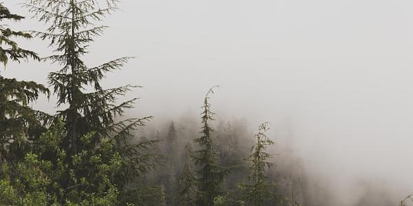 Rhodes Medieval History Tour